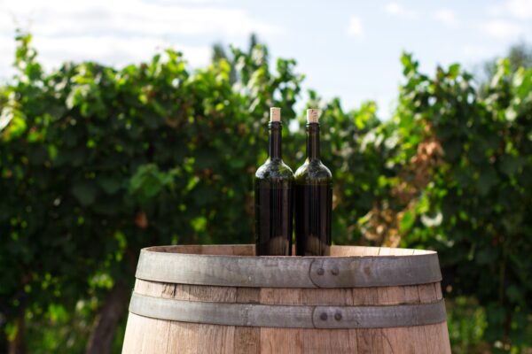 wine tasting tours brewery hens parties